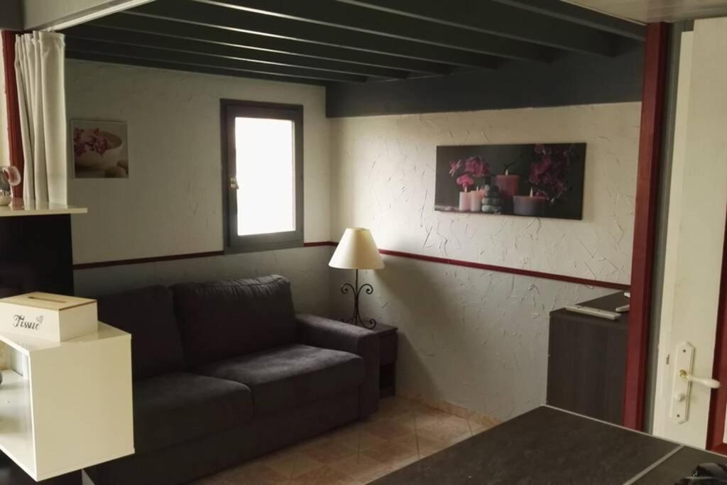 Studio Mezzanine En Residence Avec Piscine Au Village Le Barcarès エクステリア 写真
