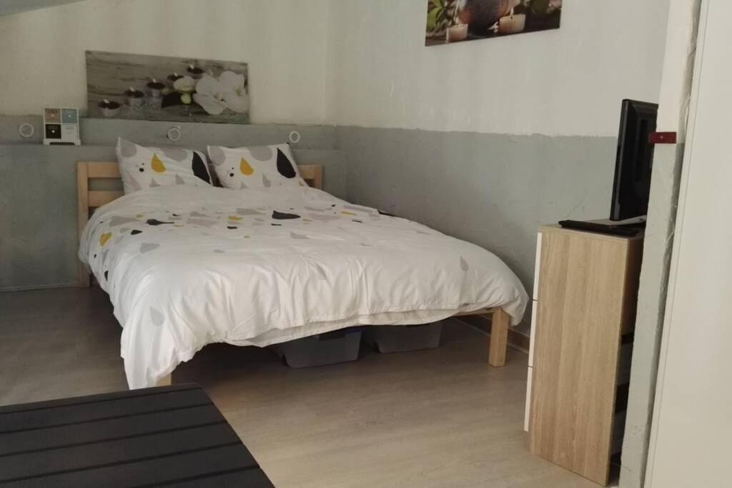 Studio Mezzanine En Residence Avec Piscine Au Village Le Barcarès エクステリア 写真