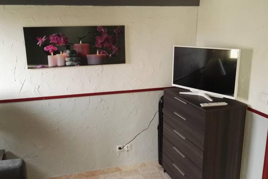 Studio Mezzanine En Residence Avec Piscine Au Village Le Barcarès エクステリア 写真